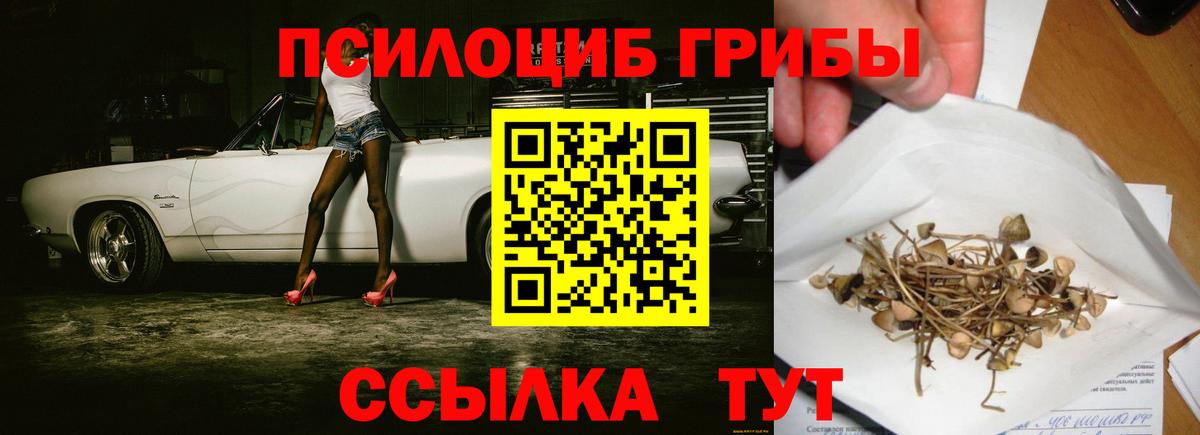 Галлюциногенные грибы Psilocybe  Вход с VPN  Вязники 